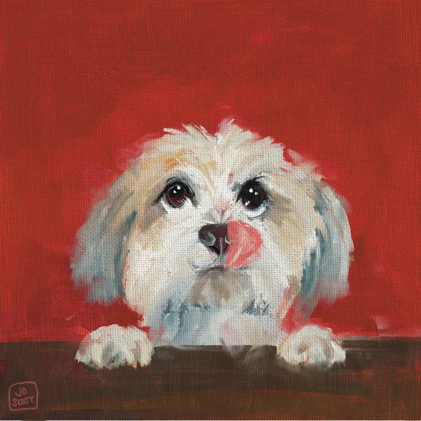 Conversations with my Dog: Rosie (Shih-Tzu Cross)