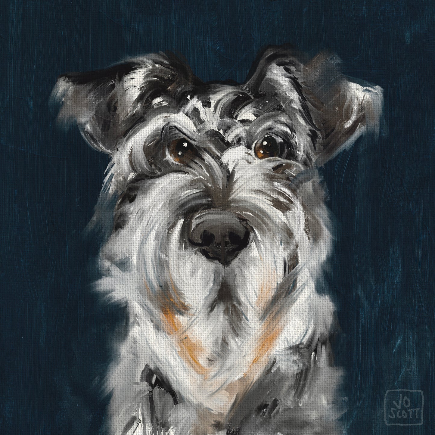 Monty | Schnauzer | 30x30cm Print
