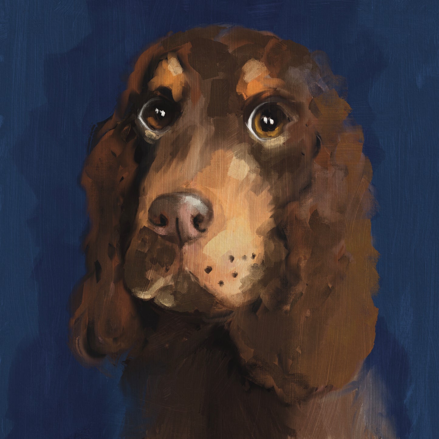 Bobby - Spaniel - Greeting Card