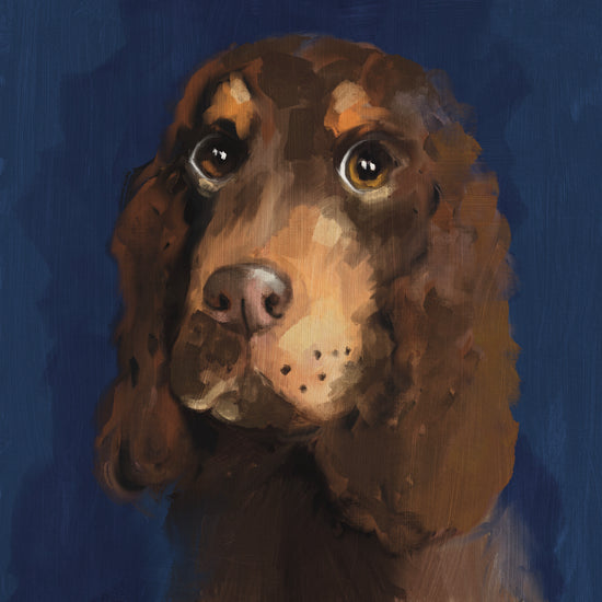 Bobby - Spaniel - Greeting Card