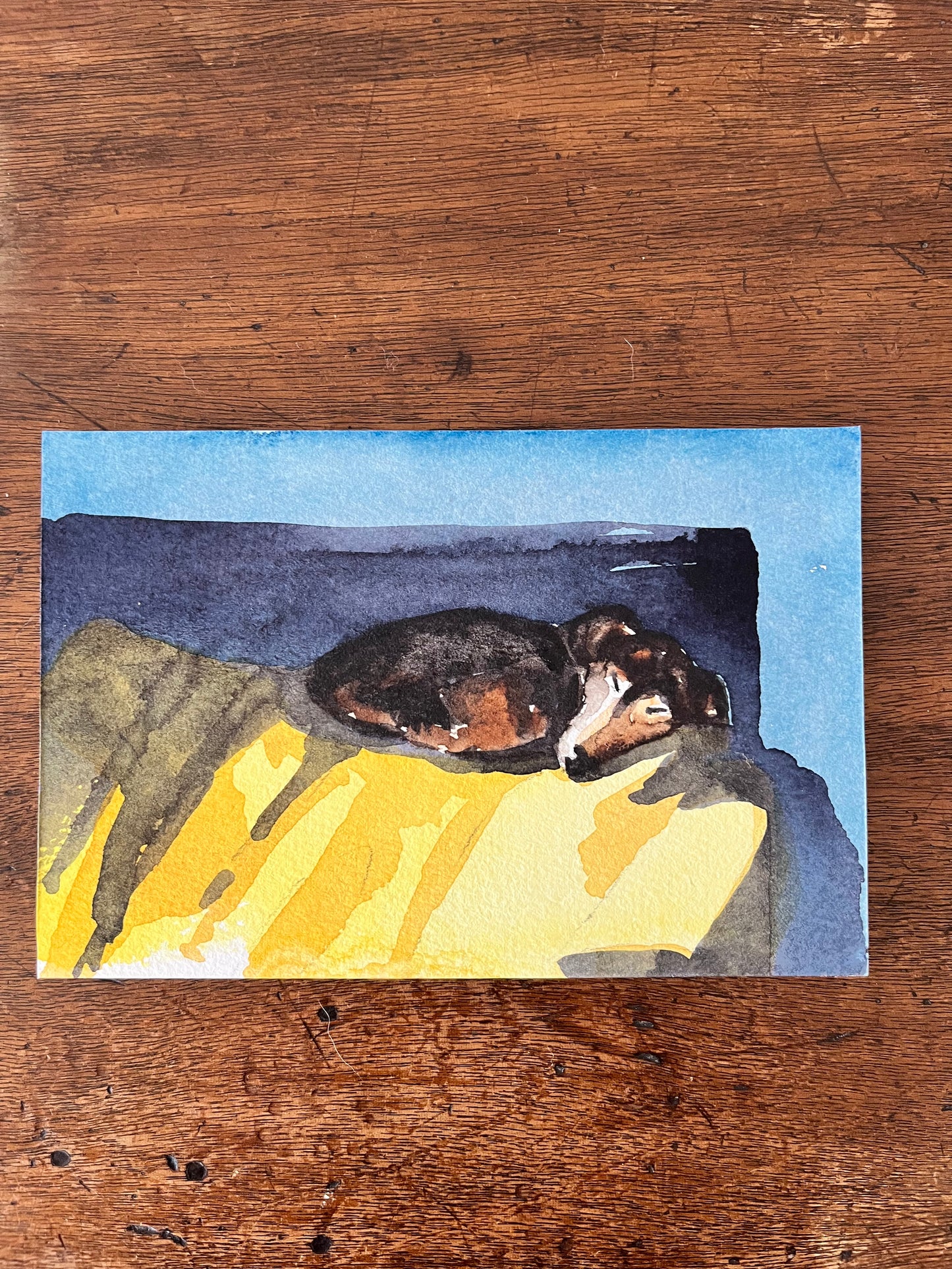 Sleeping Dog no.2 | Original Watercolour on Wooden Board | 6x4 inch