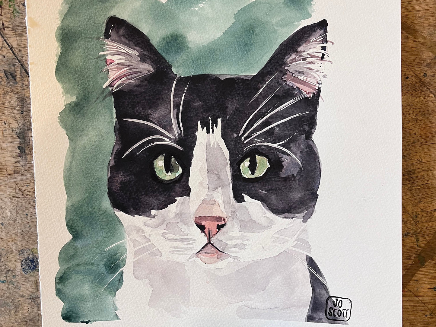 Tuxedo Cat | Original Cat Watercolour Painting | Jo Scott