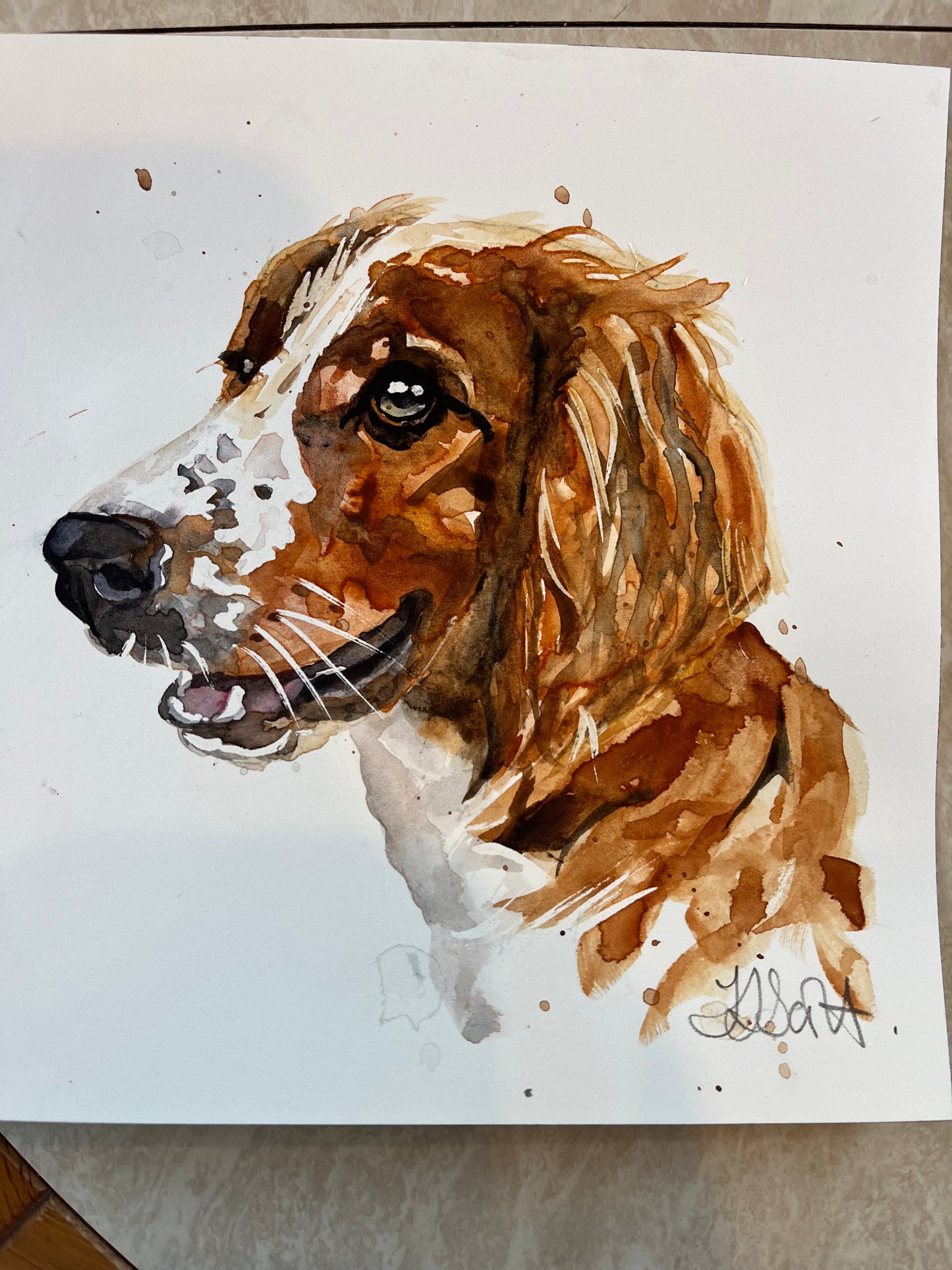 Small Single Pet Commission - A5