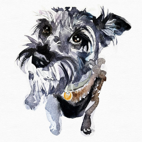 Small Single Pet Commission - A5
