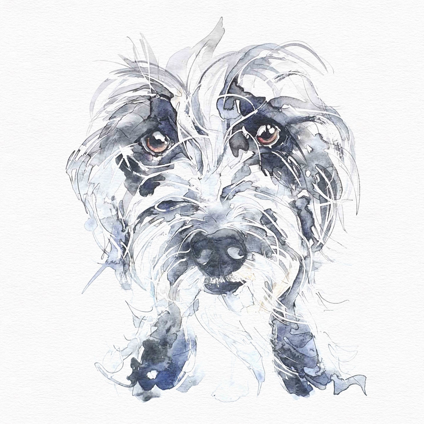 Wilf | Scruffy Lurcher | Original Watercolour Dog Painting