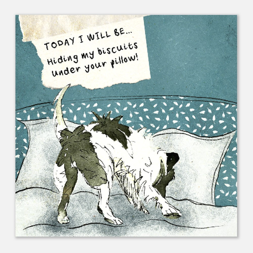 85741ff5-fcdf-4baa-8d9d-6c31823ca323