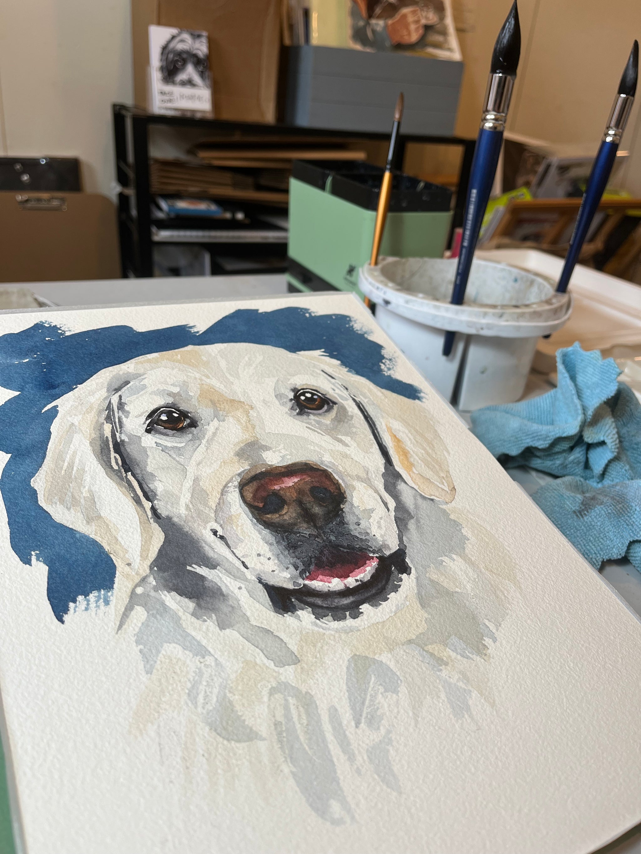 Watercolour pet portrait in progress in Jo's studio — a golden Labrador painted on white paper with soft blue washes