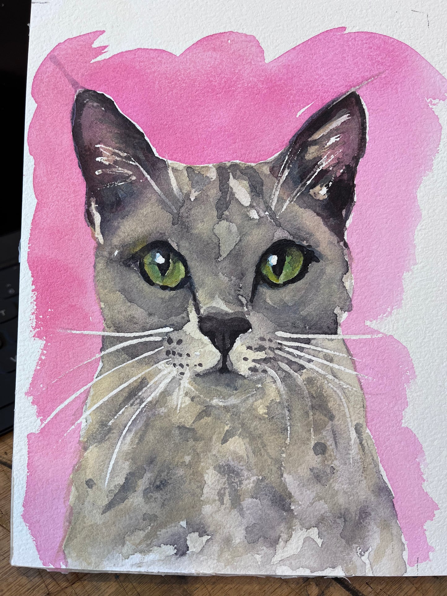 Grey Cat with Green Eyes | Original A5 Watercolour Painting with Hot Pink Background
