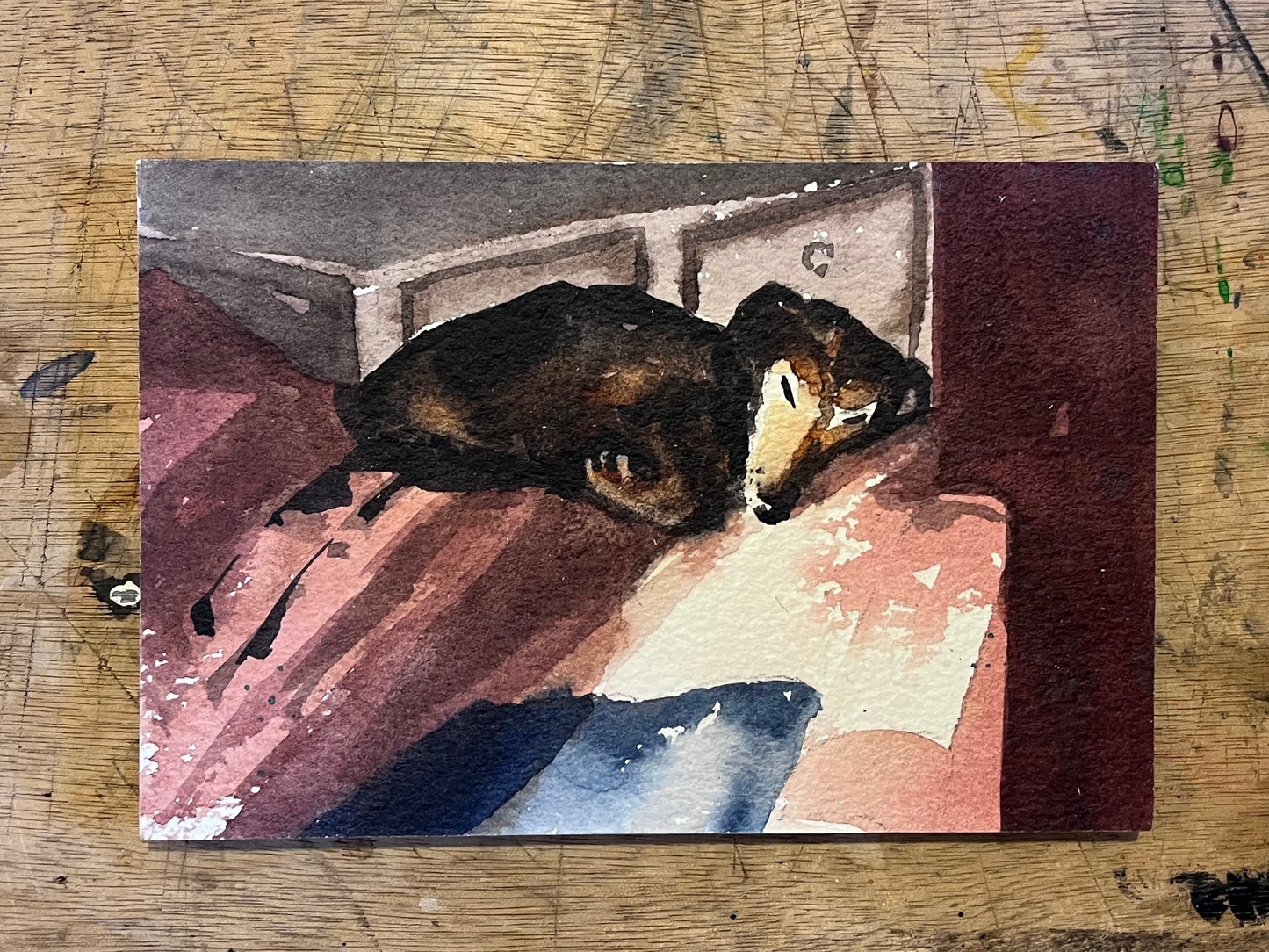 Sleeping Dog no.1| Postcard A6 Size Watercolour on Wooden Board