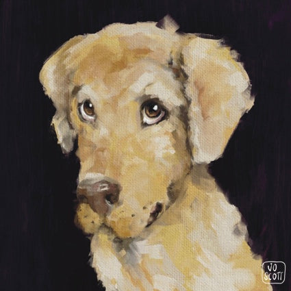 Lucy | Labrador | 30x30cm Print