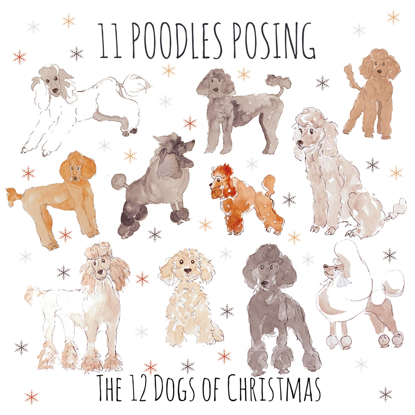 11 Poodles Posing - Greeting Card