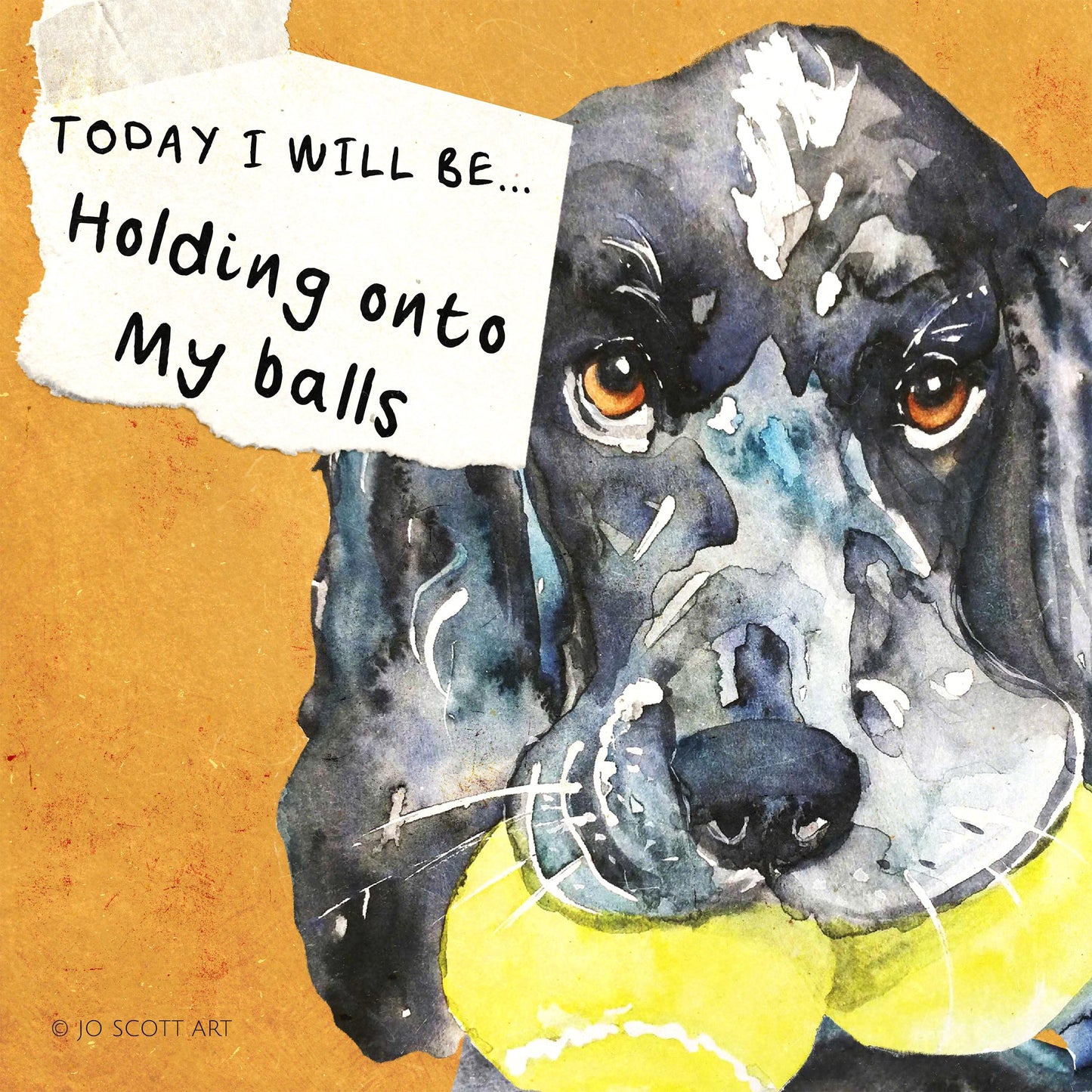 Today I will be...holding onto my balls - B17