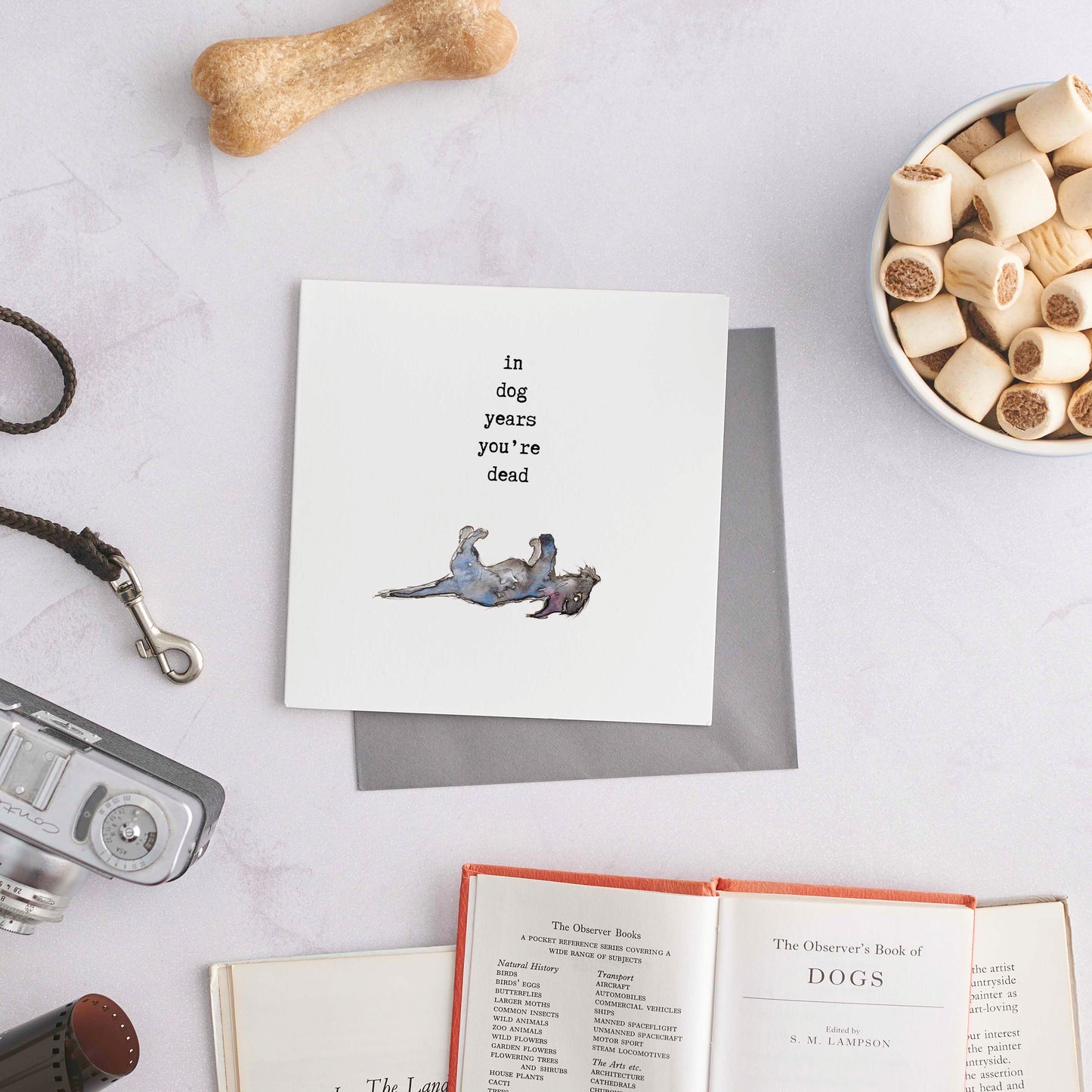 Greeting card with the text 'IN DOG YEARS YOU'RE DEAD' and an illustration of a dog, placed on a table alongside a bone, camera, and books.