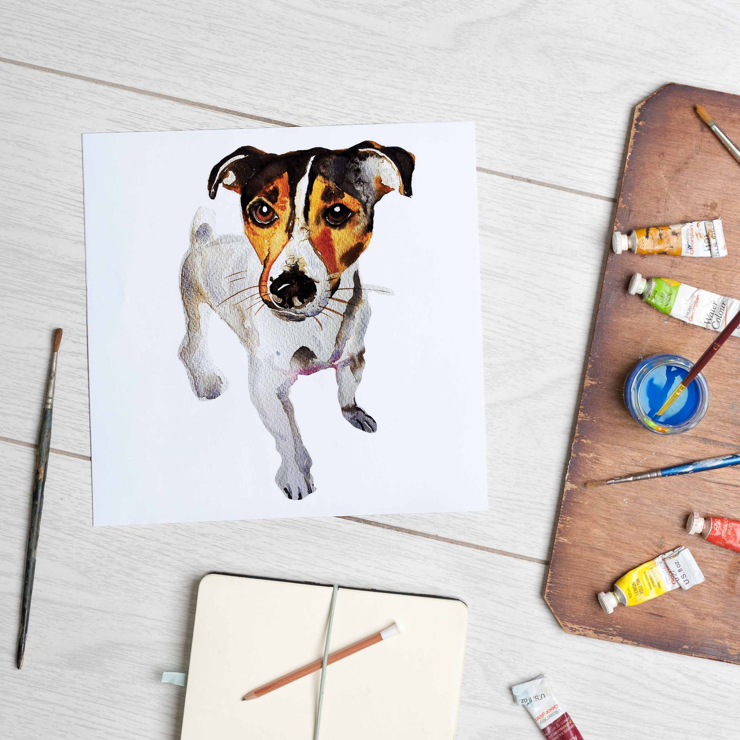 Jack Russell Terrier (Mounted Print)