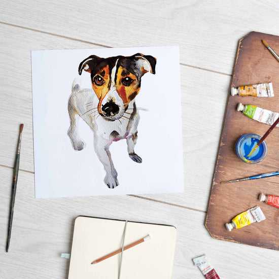 Jack Russell Terrier (Mounted Print)