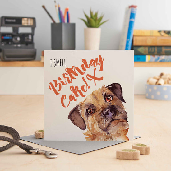 I Smell Birthday Cake (Border Terrier) Greeting Card