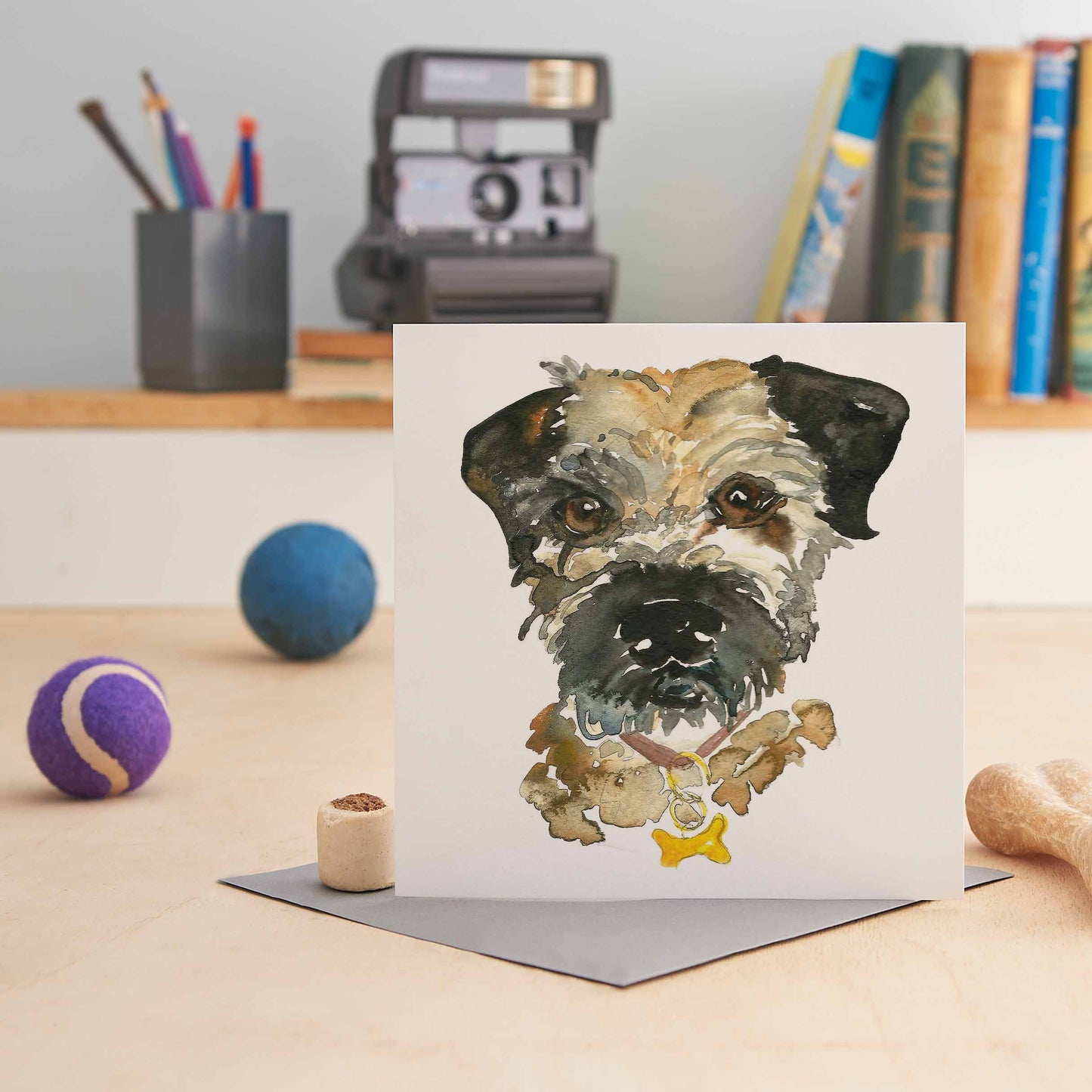 Border Terrier - Buster - W03