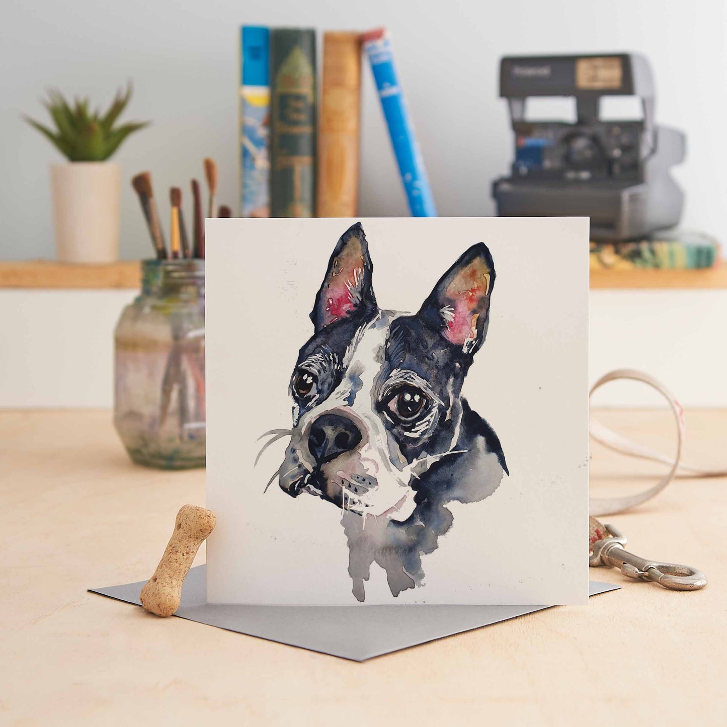 W179 - Boston Terrier