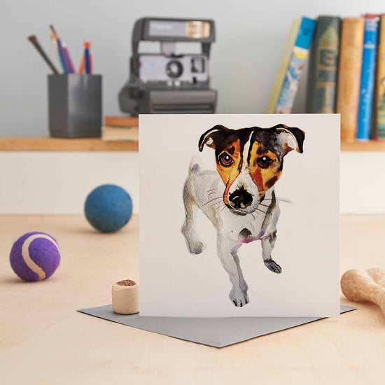 Jack Russell Terrier - Greeting Card