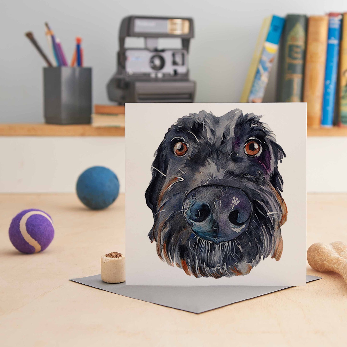 Labradoodle - Tilli - W83