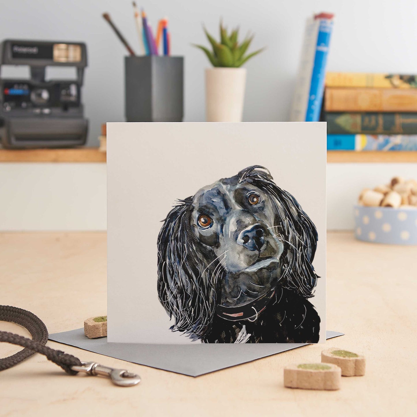 Black Spaniel - Bella - W89